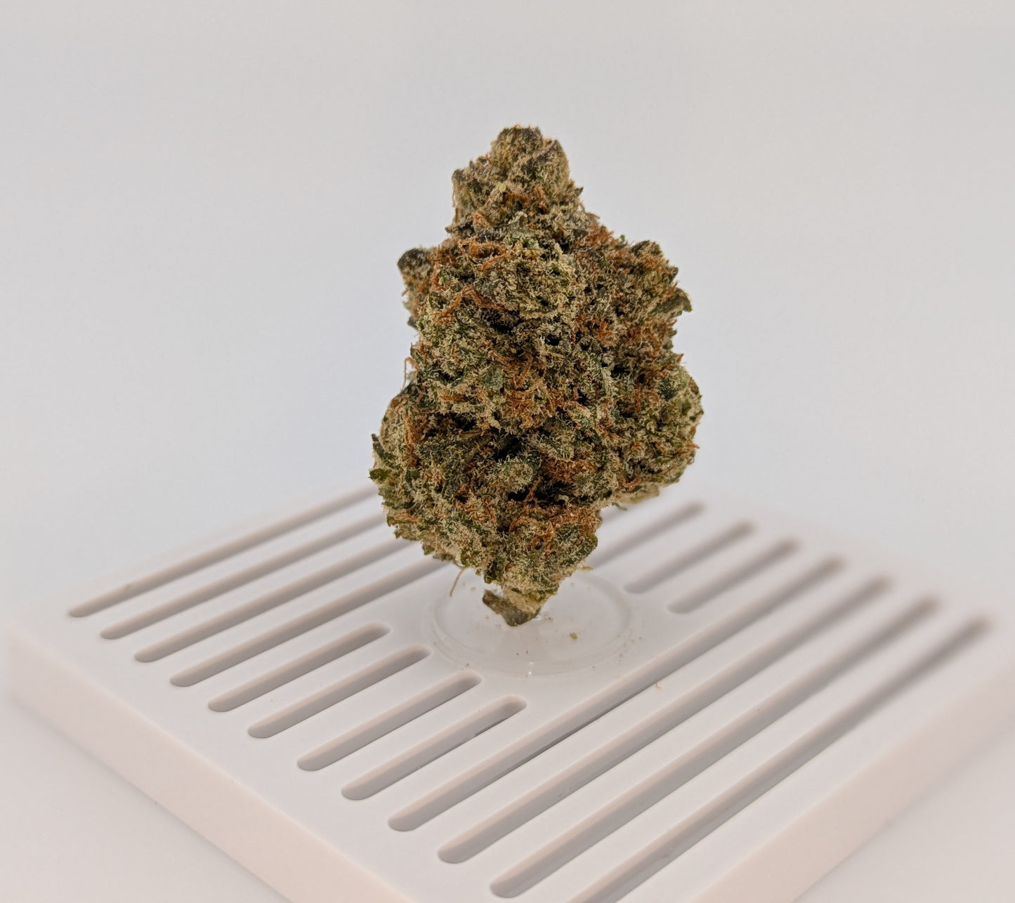 THCA Flower 24% - White Runtz - Hybrid