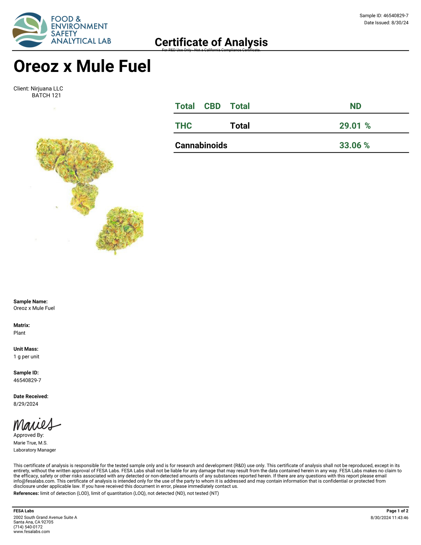 THCA Flower - Oreo X Mule Fuel 29%