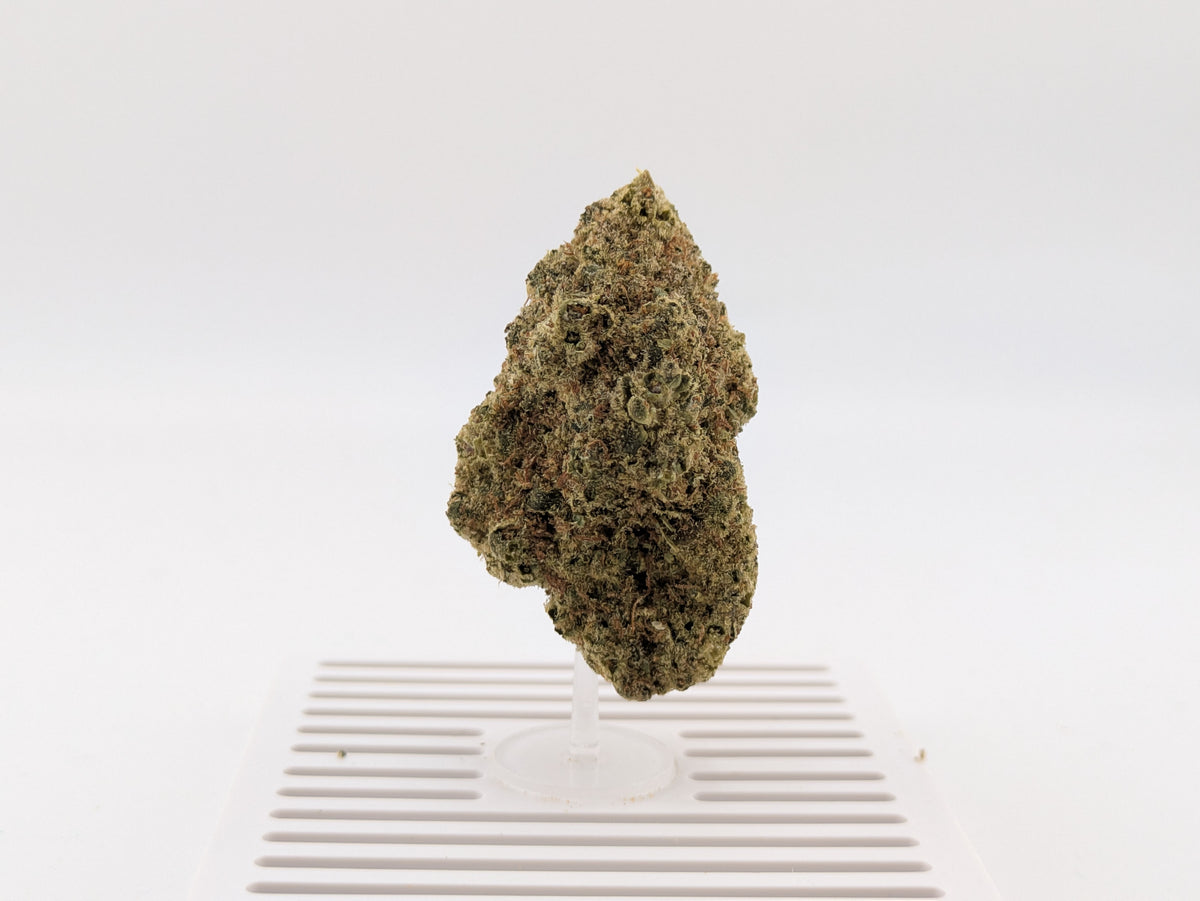 Exotic THCA | Banjo | Hybrid 24%