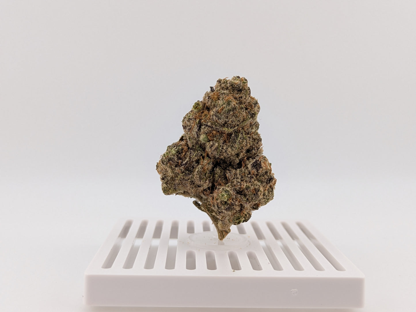 Blueberry Cheesecake │ Exotic THCA Flower │ Sativa Hybrid │ 27%