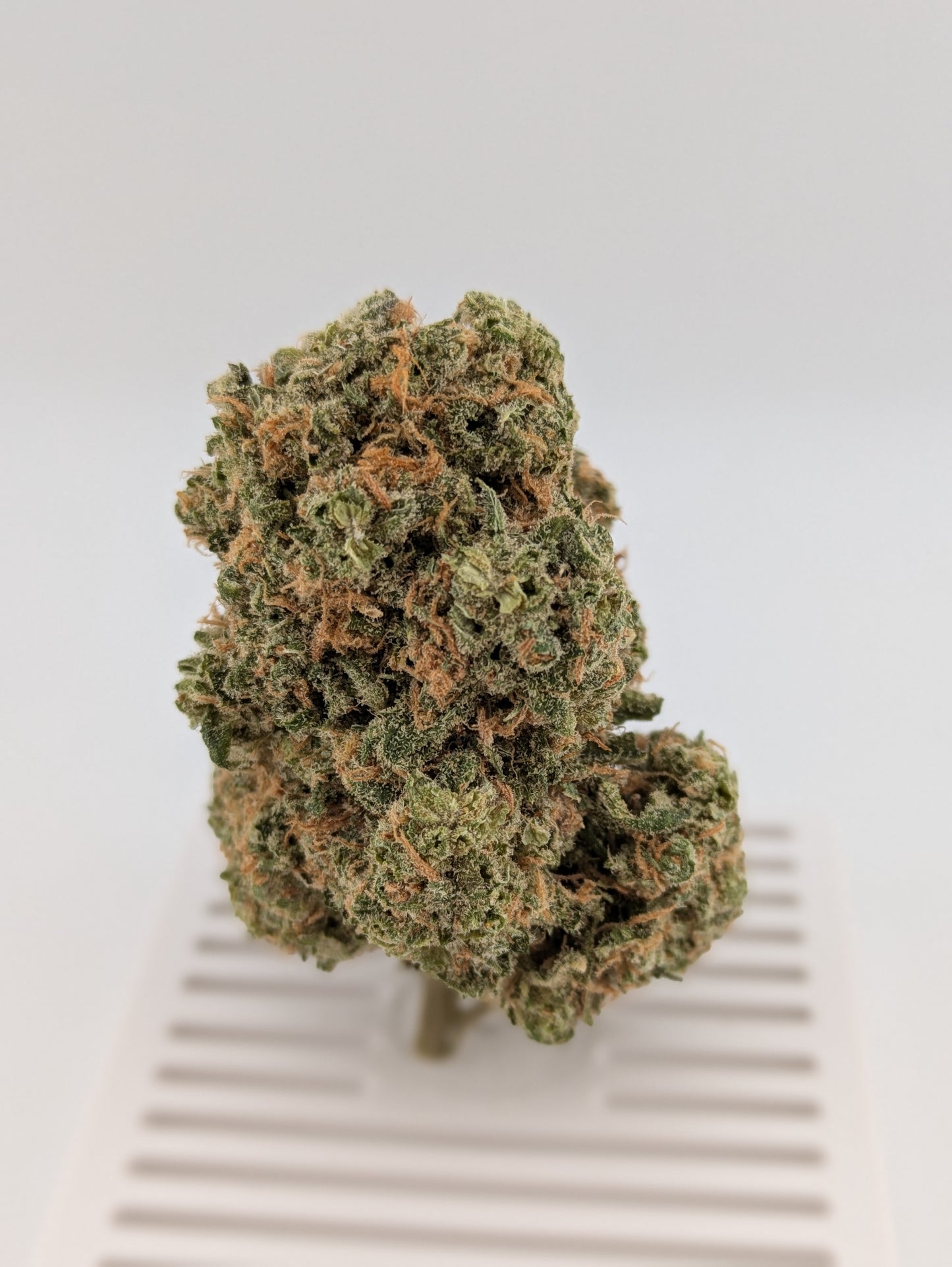Durban Poison │ Exotic THCA Flower │ Sativa │ 26%