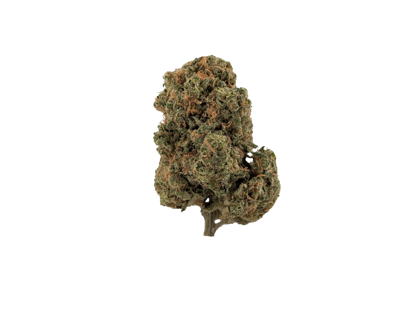 Durban Poison │ Exotic THCA Flower │ Sativa │ 26%