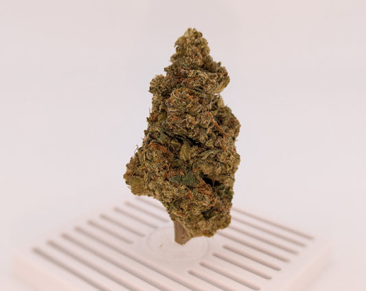 THCA Flower 25% - Gelato #41 - Hybrid