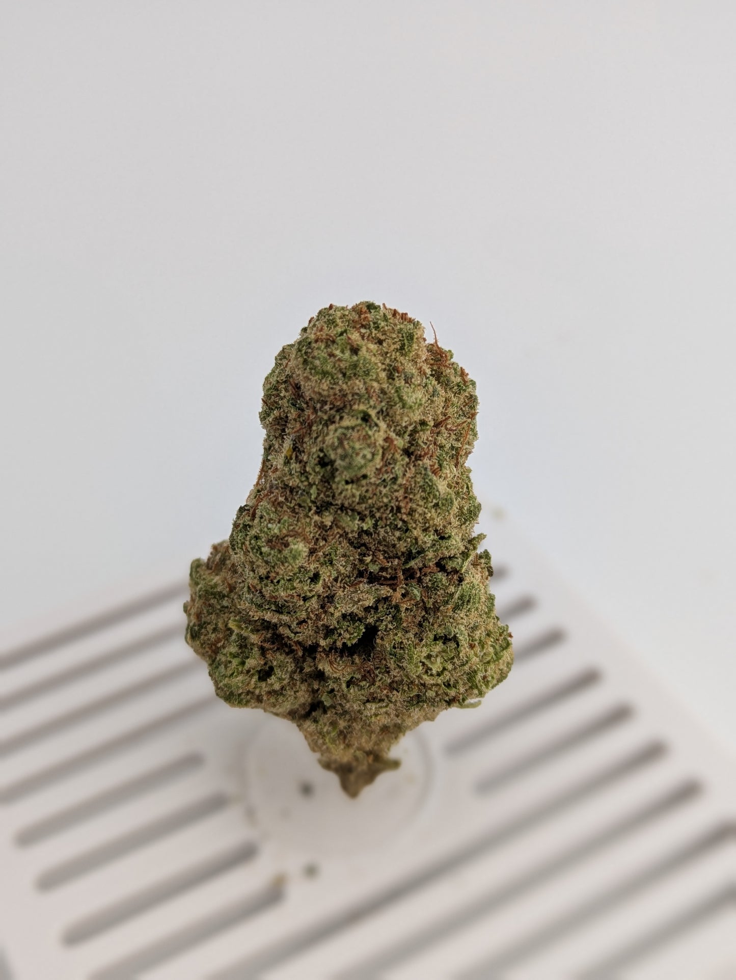 Exotic THCA Flower - Glitter Bomb 28%
