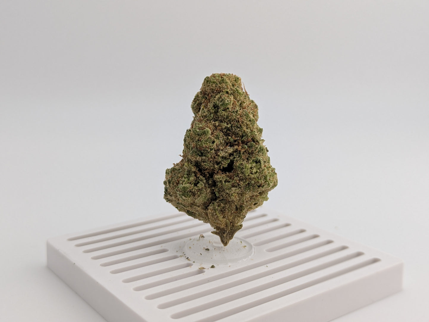 Exotic THCA Flower - Glitter Bomb 28%