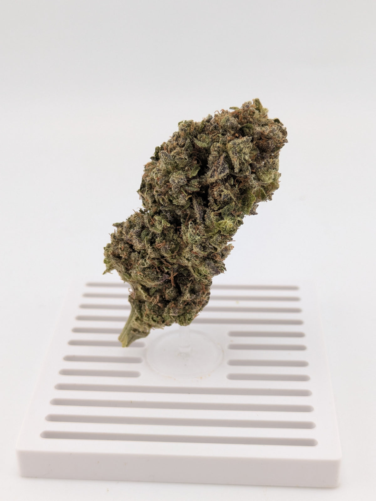 Exotic THCA Flower | GovernMint Oasis | Hybrid 26%