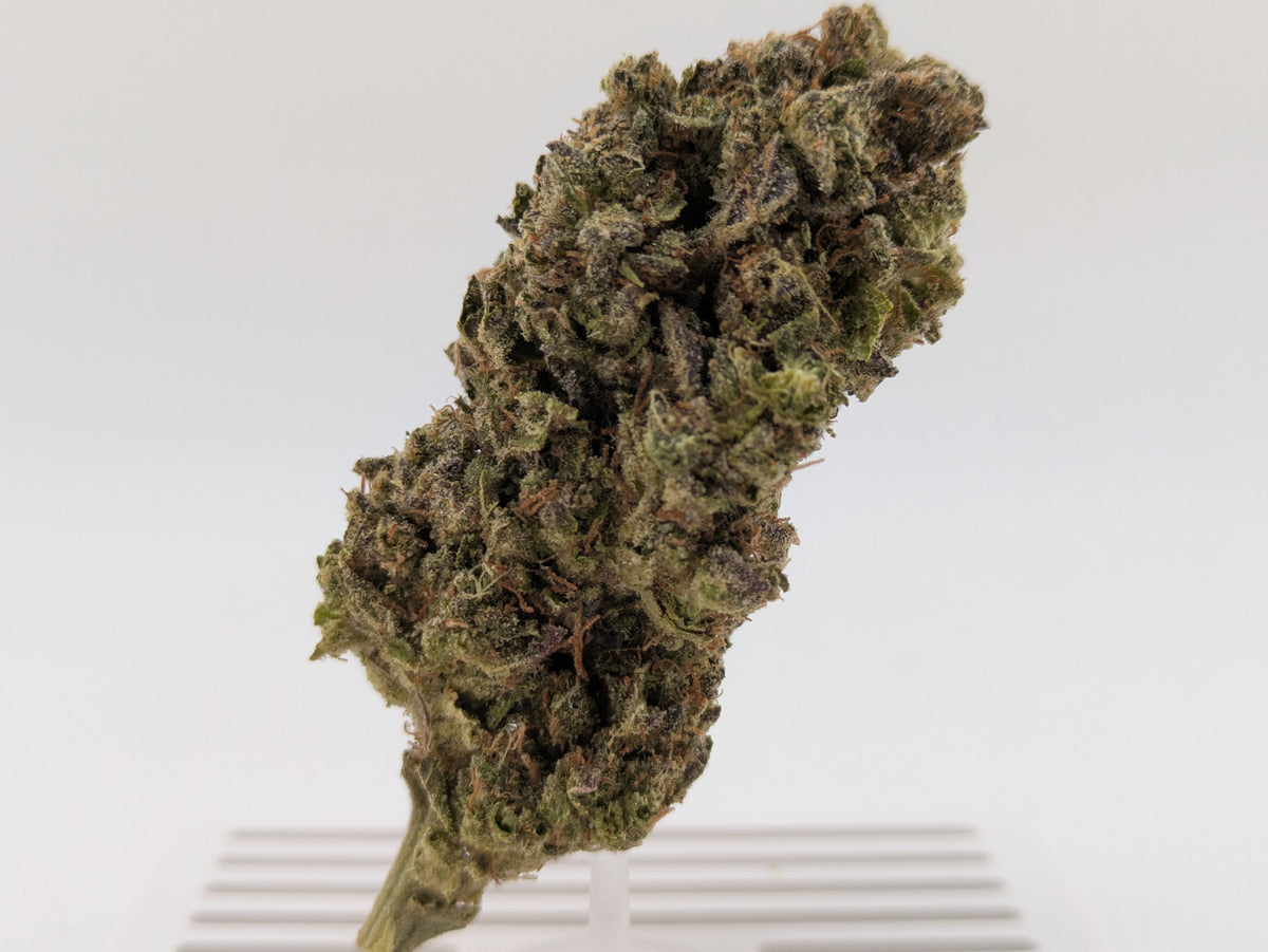 Exotic THCA Flower | GovernMint Oasis | Hybrid 26%