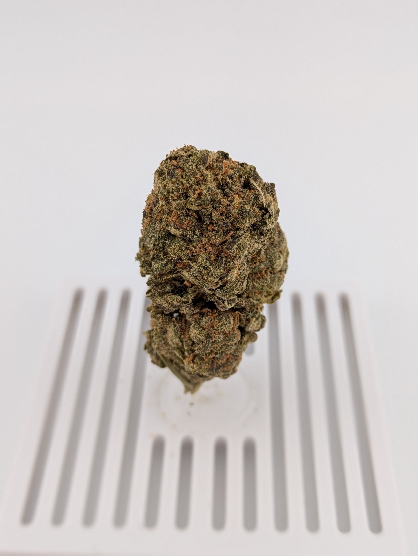 Ice Cream Pie │ Exotic THCA Flower │ Indica │ 28%