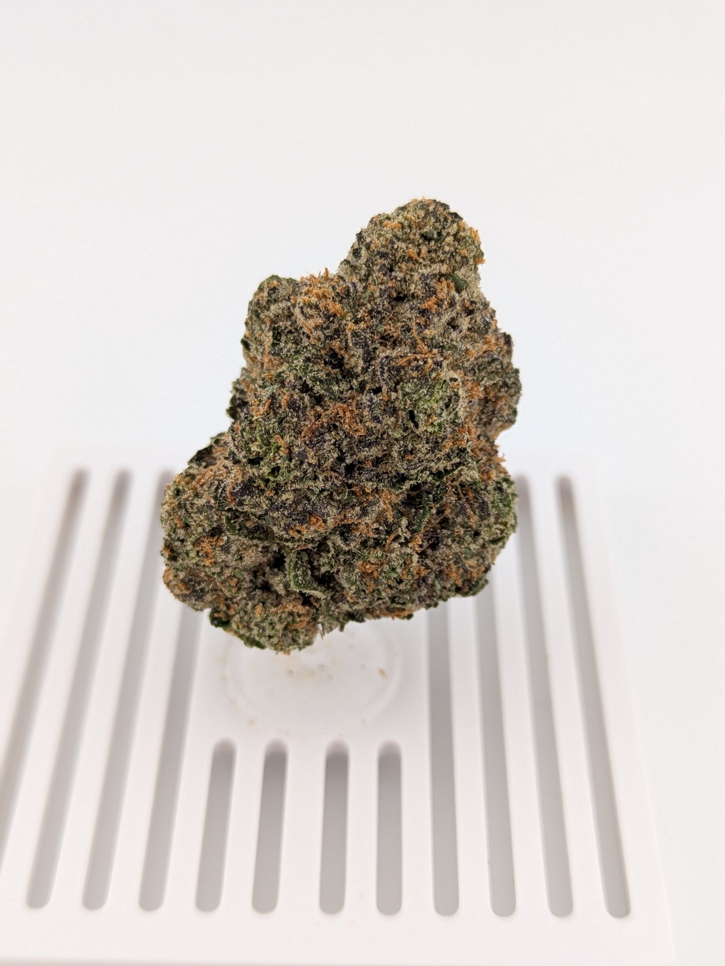 Jelly Cake │ Exotic THCA Flower │ Indica │ 24%