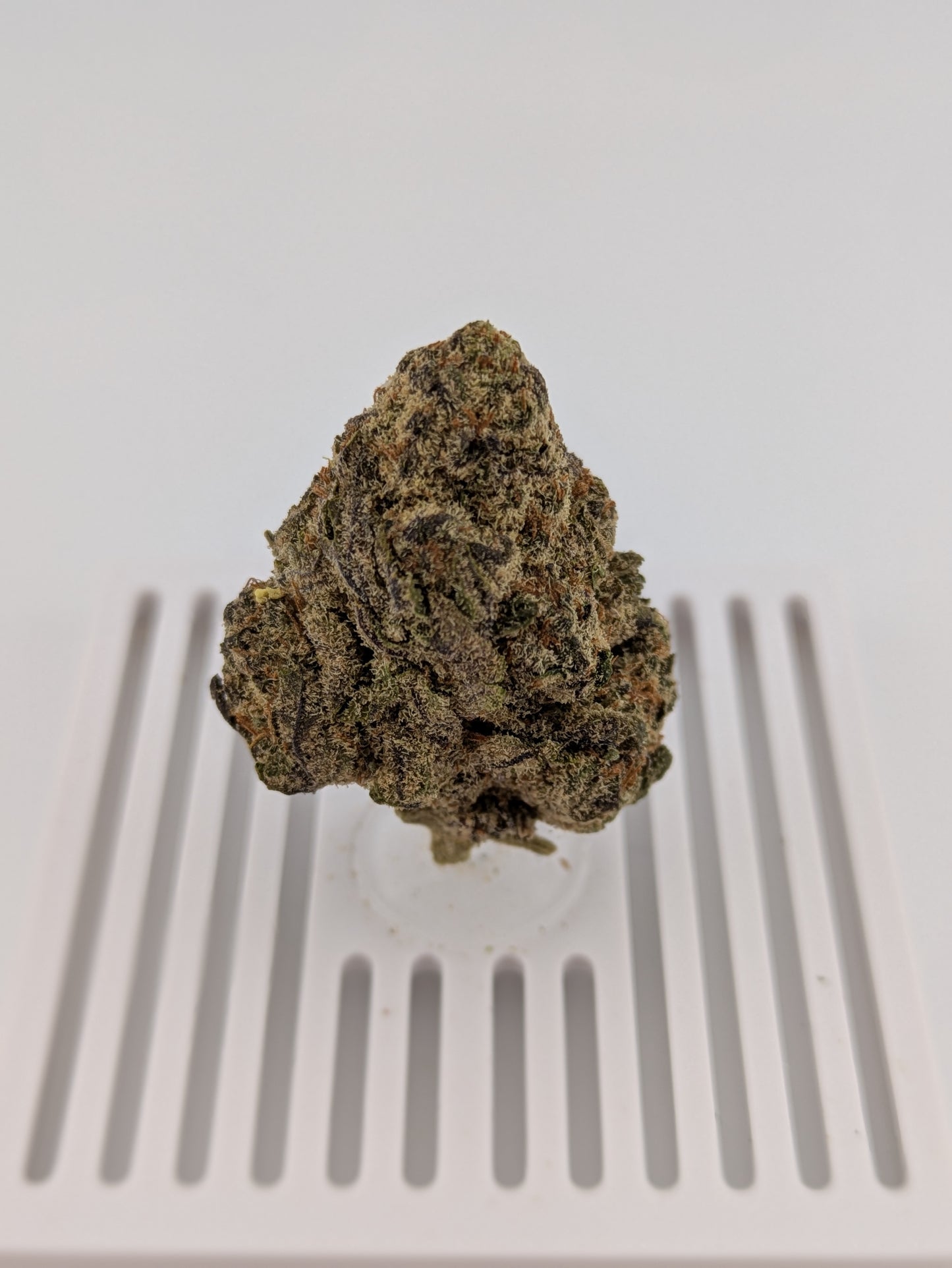 Kept Secret │ Exotic THCA Flower │ Hybrid │ 27%