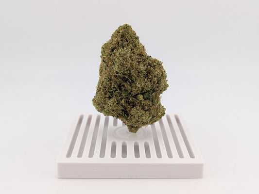 THCA Flower - Key Lime Jack 27% - Sativa