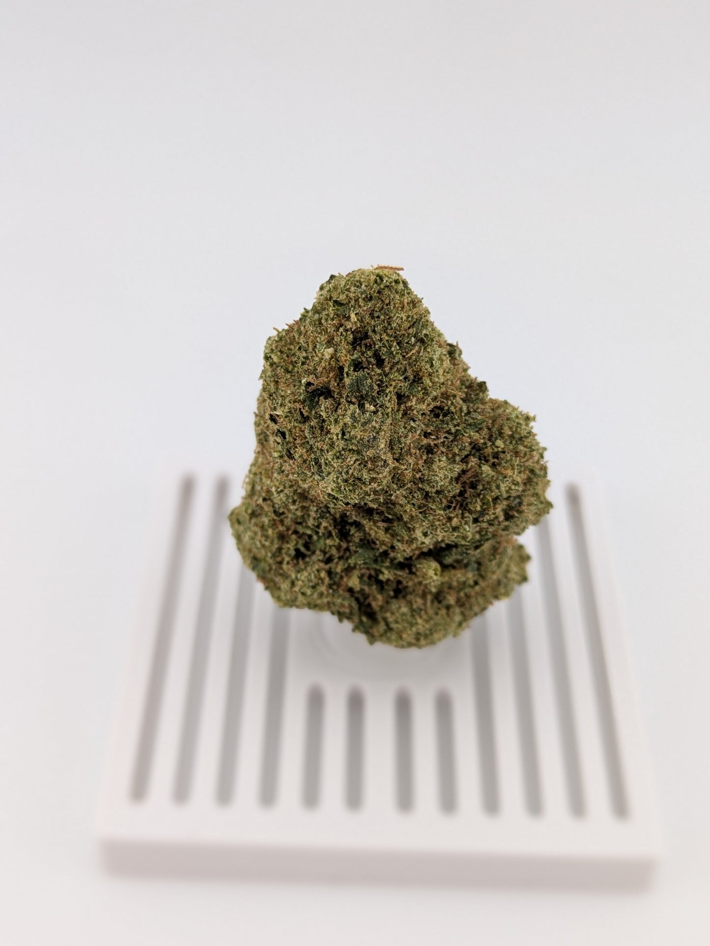 THCA Flower - Key Lime Jack 27% - Sativa