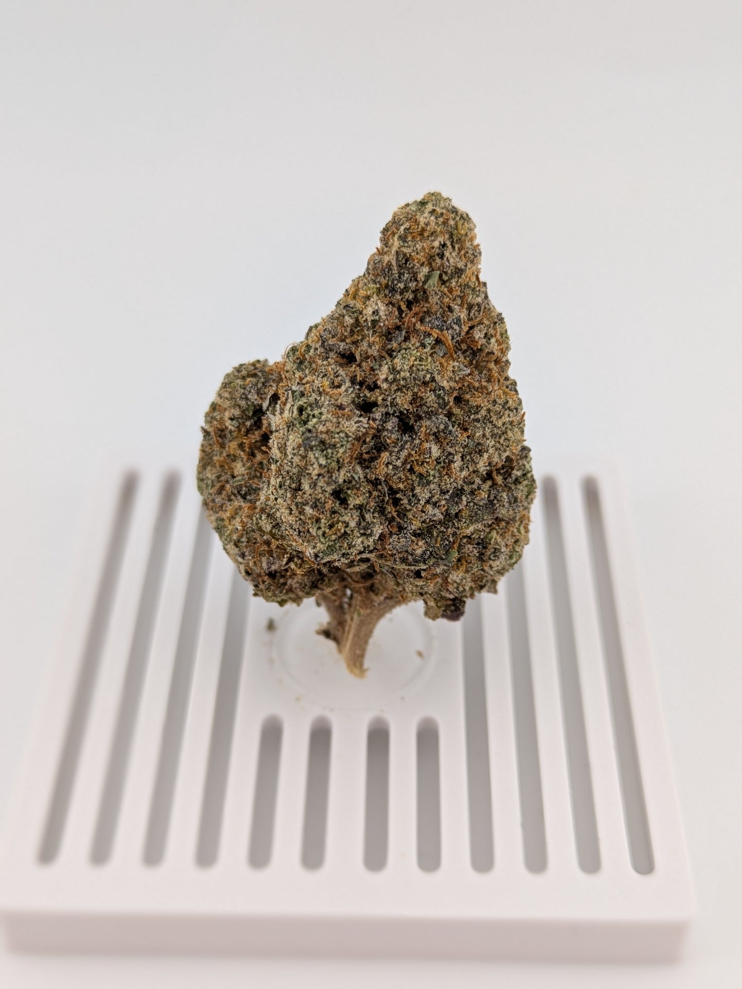Lemon Cherry Gelato │ Exotic THCA Flower │ Hybrid │ 32%
