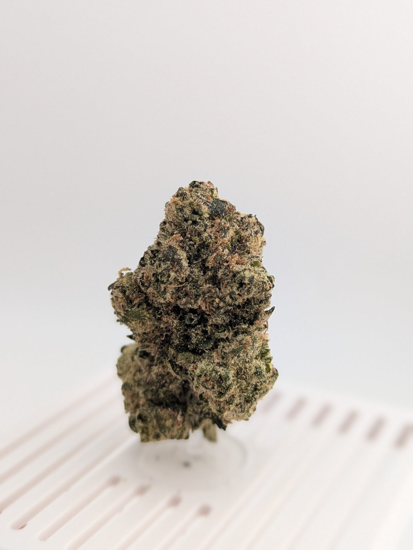 Exotic THCA Flower - Lemon Berry 25%