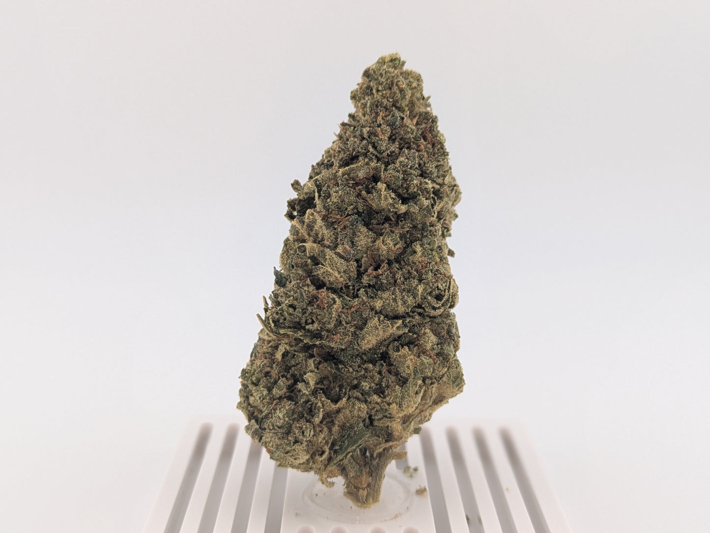 THCA Flower 26% - Lemon Cherry Gelato - Hybrid