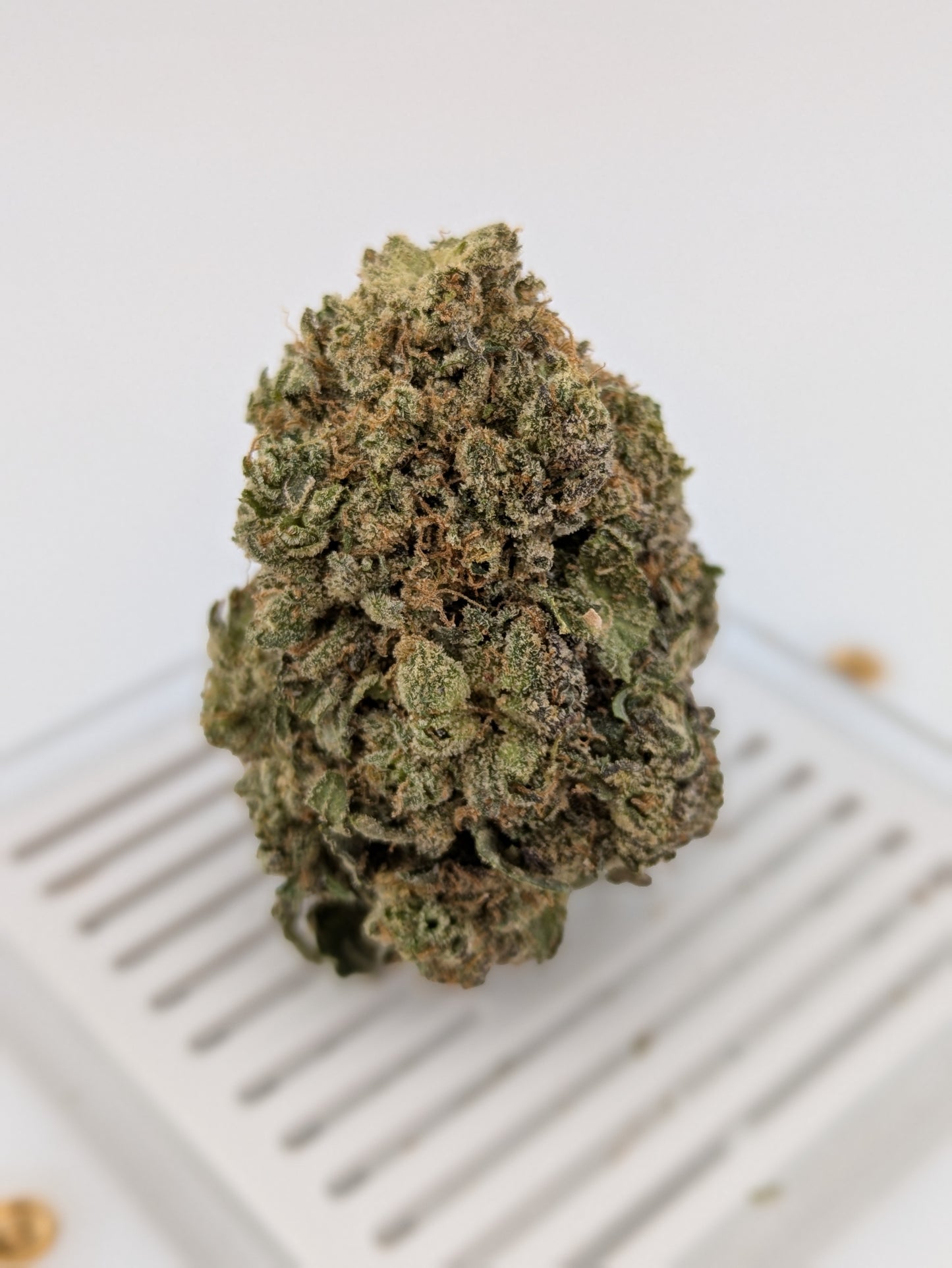 Exotic THCA Flower - Lemon Diesel 33%