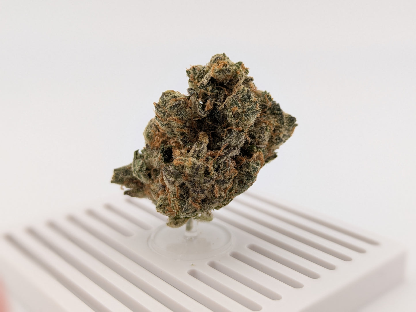 Exotic THCA Flower 34% - Mule Fuel - Indica