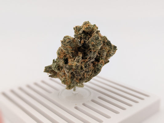 Exotic THCA Flower 34% - Mule Fuel - Indica
