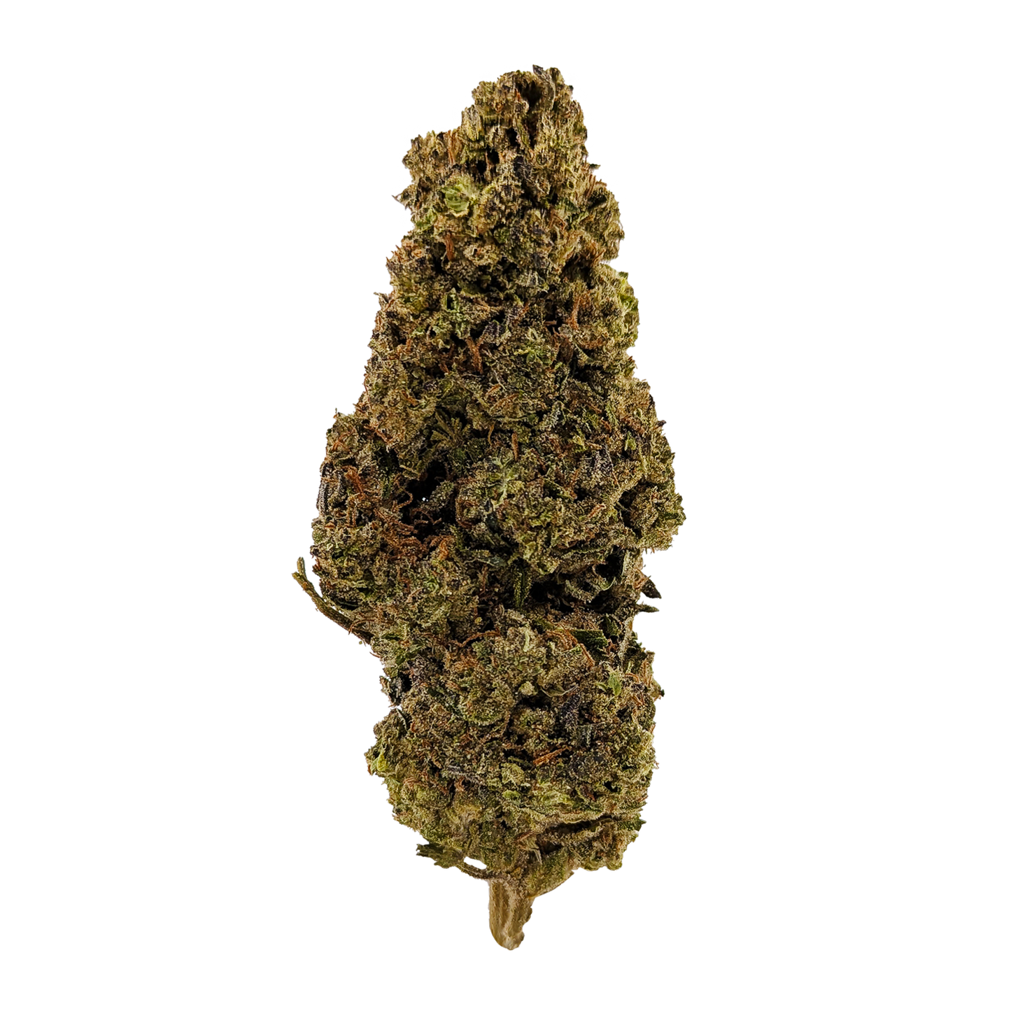 Hash Burger │ Exotic THCA Flower │ Hybrid │ 27%
