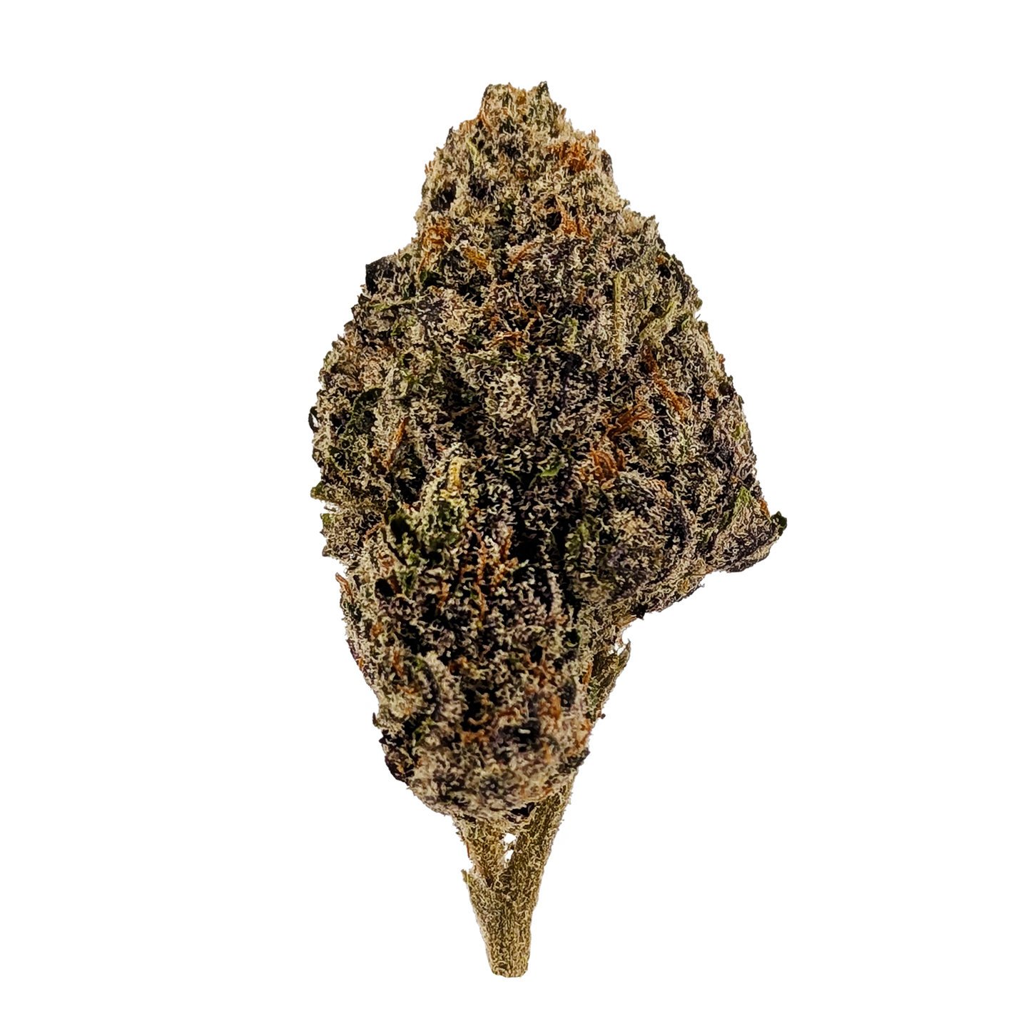 Northern Lights │ Exotic THCA Flower │ Indica │ 26%