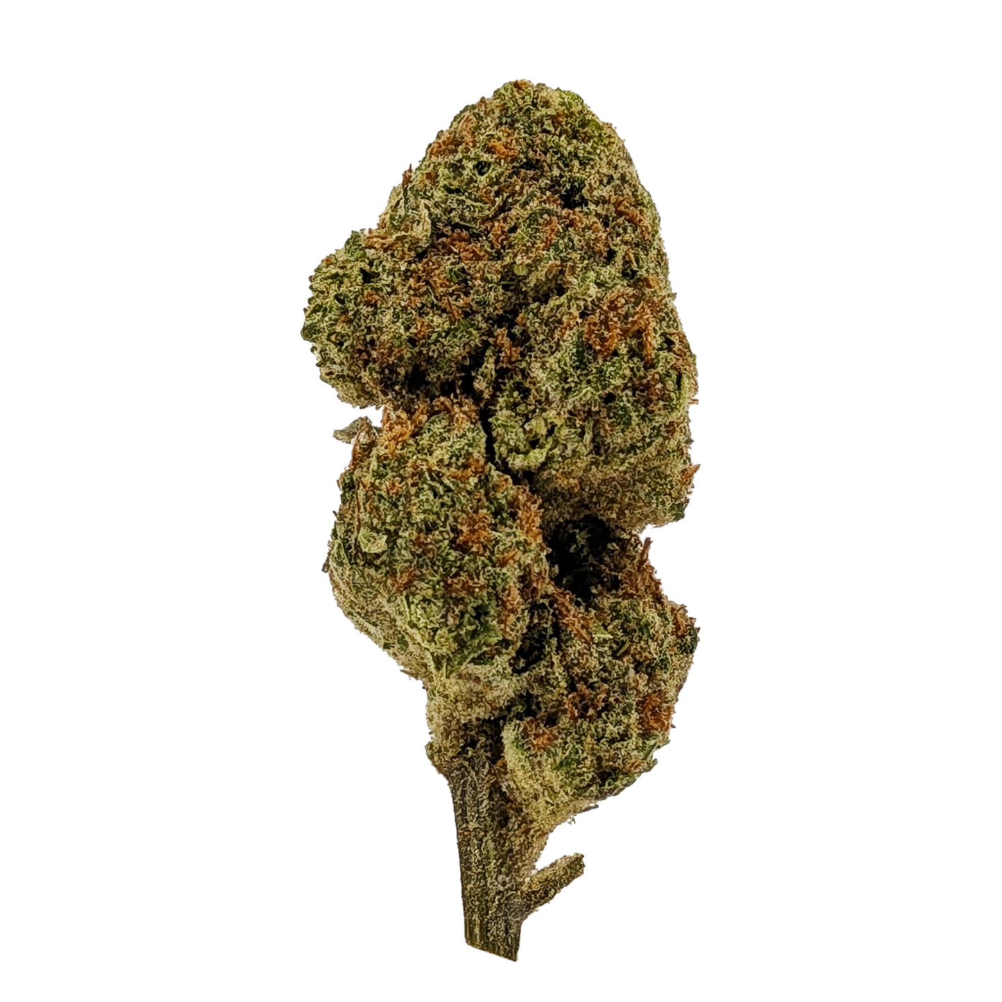 Poison Gushers │ Exotic THCA Flower │ Hybrid │ 26%
