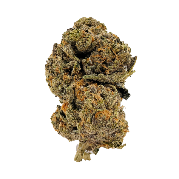 Super Goof │ Exotic THCA Flower │ Sativa │ 28%