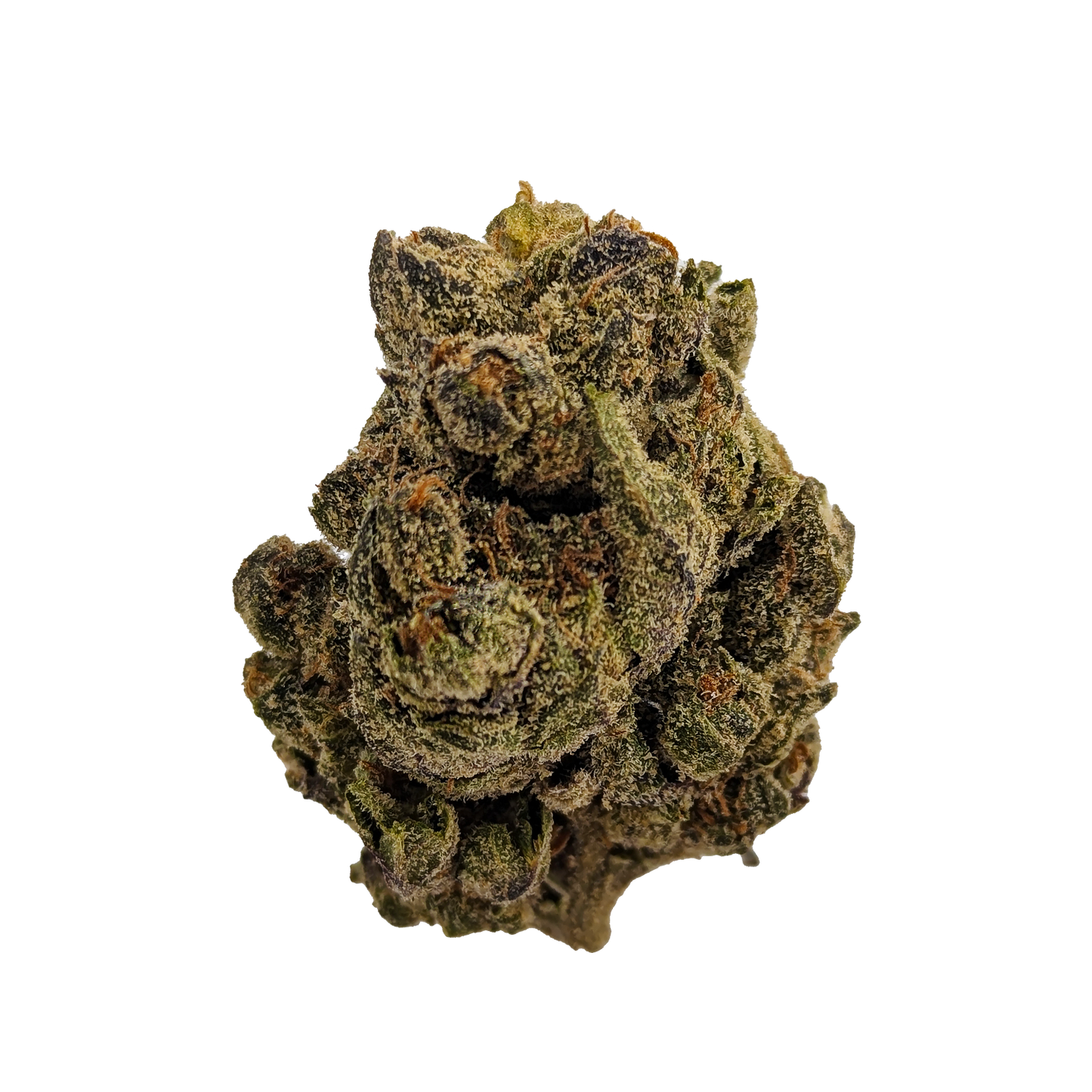 Trap Fuel │ THCA Flower │ Hybrid │ 27%