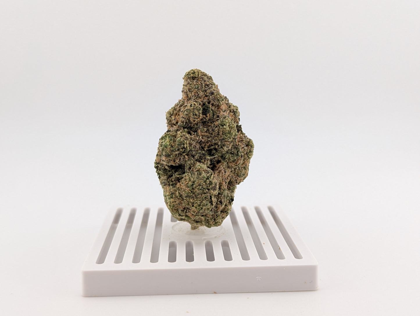 THCA Flower 25% - Gelato #41 - Hybrid