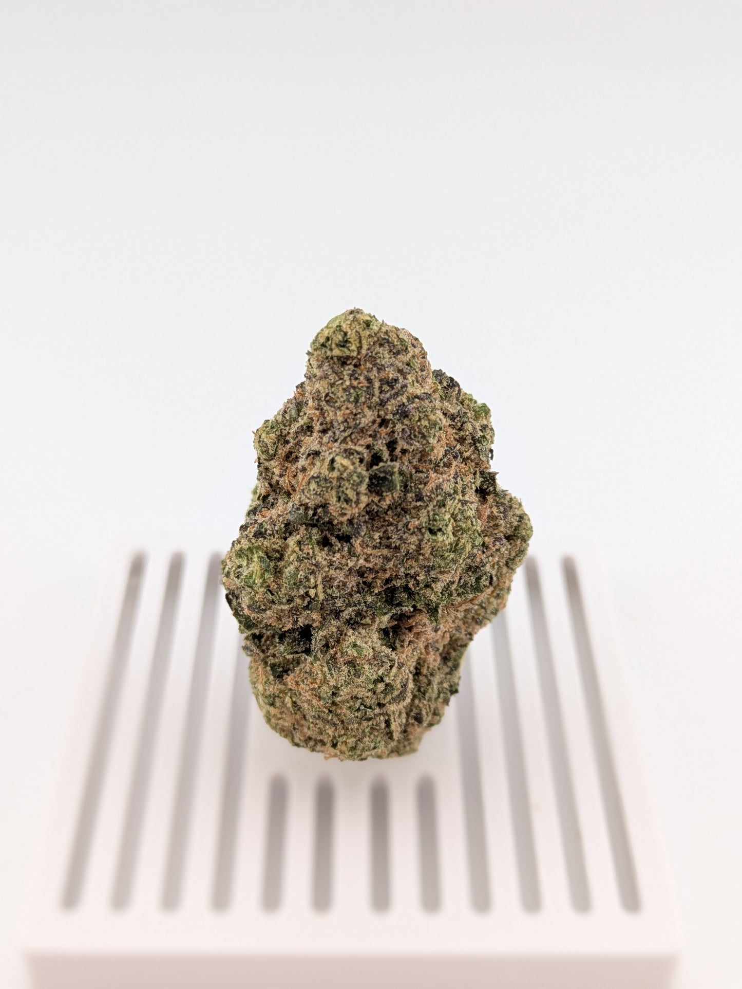 THCA Flower 25% - Gelato #41 - Hybrid