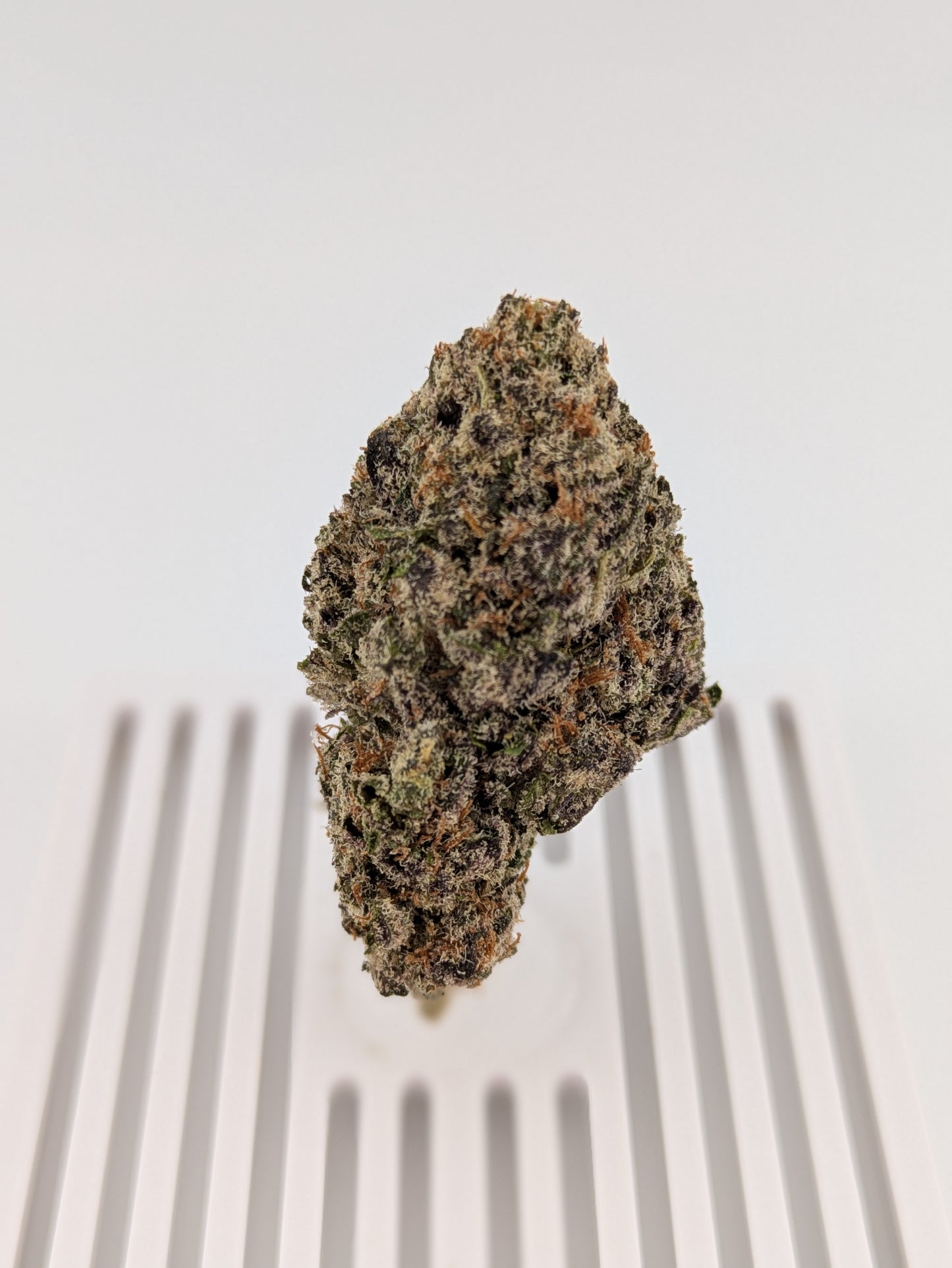 Northern Lights │ Exotic THCA Flower │ Indica │ 26%