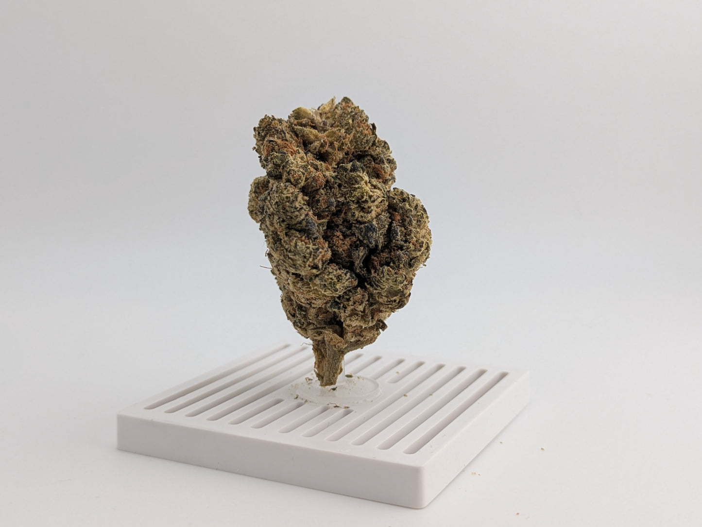 THCA Flower - Oreo X Mule Fuel 29%