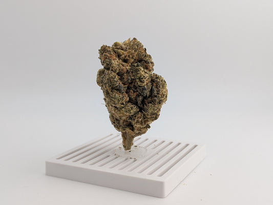 THCA Flower - Oreo X Mule Fuel 29%