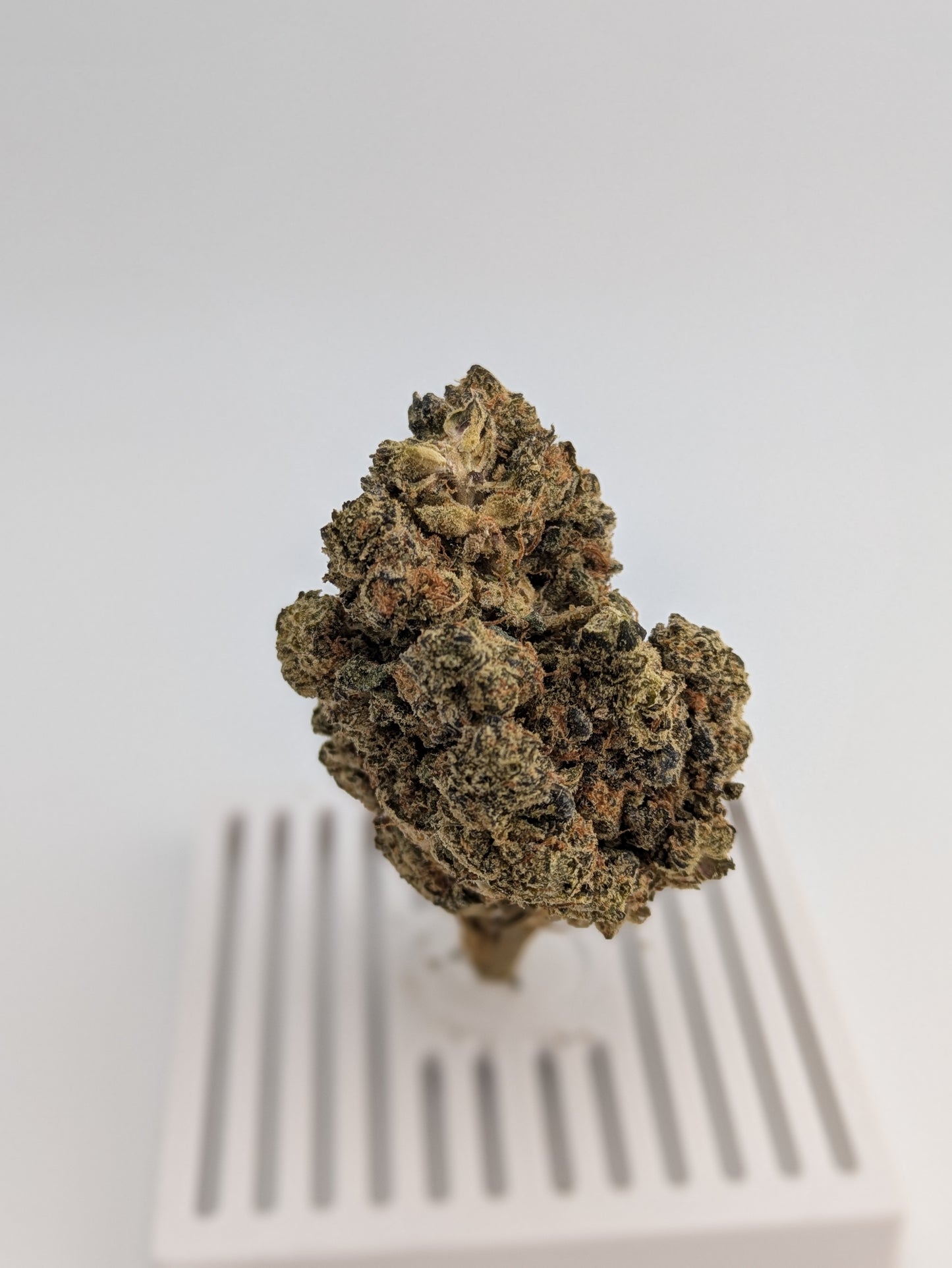 THCA Flower - Oreo X Mule Fuel 29%