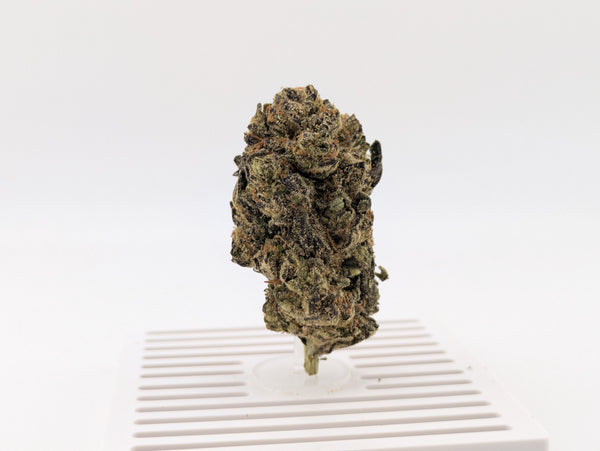 Exotic THCA Flower | Pink Runtz | Hybrid 27%