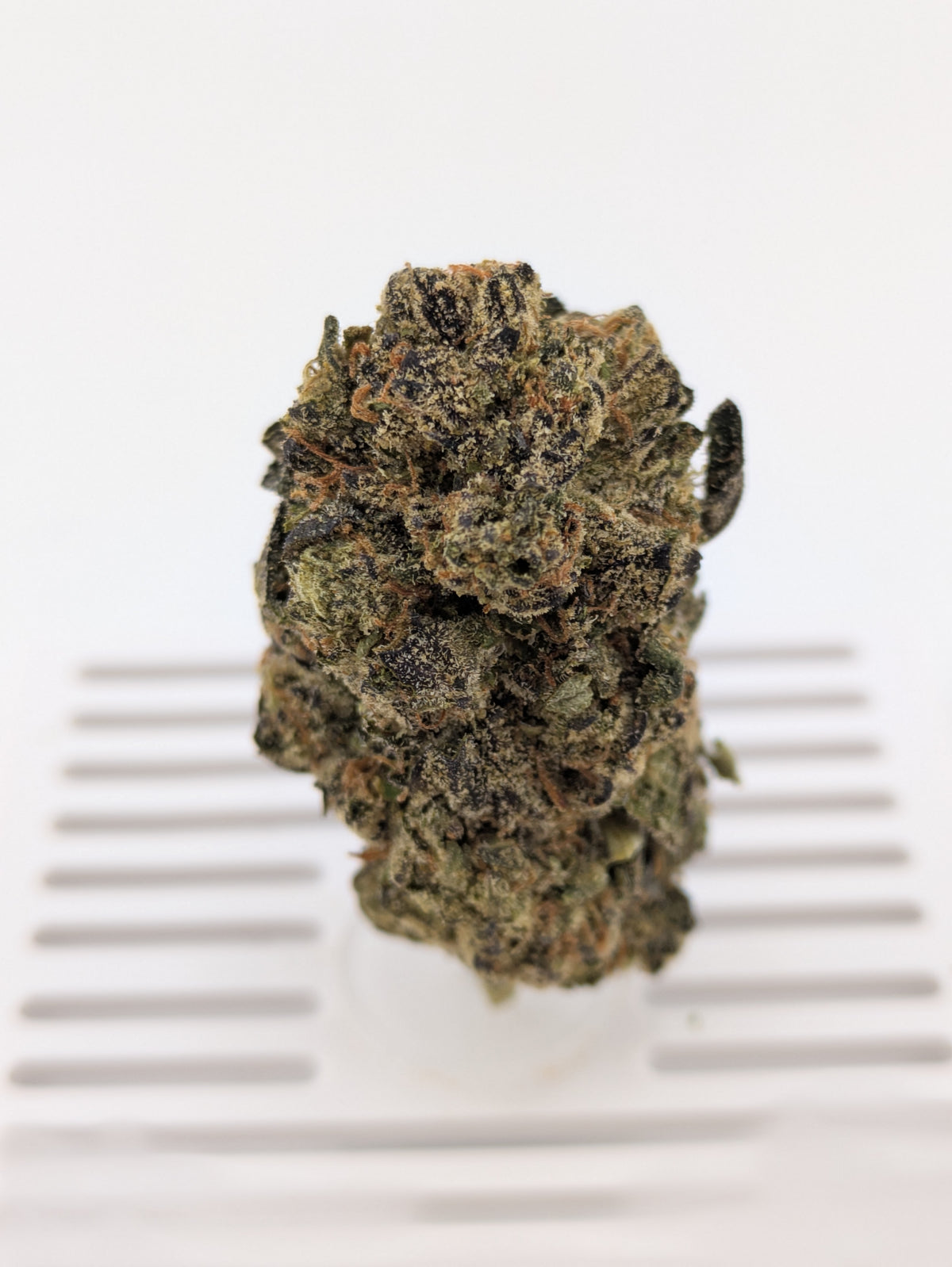 Exotic THCA Flower | Pink Runtz | Hybrid 27%