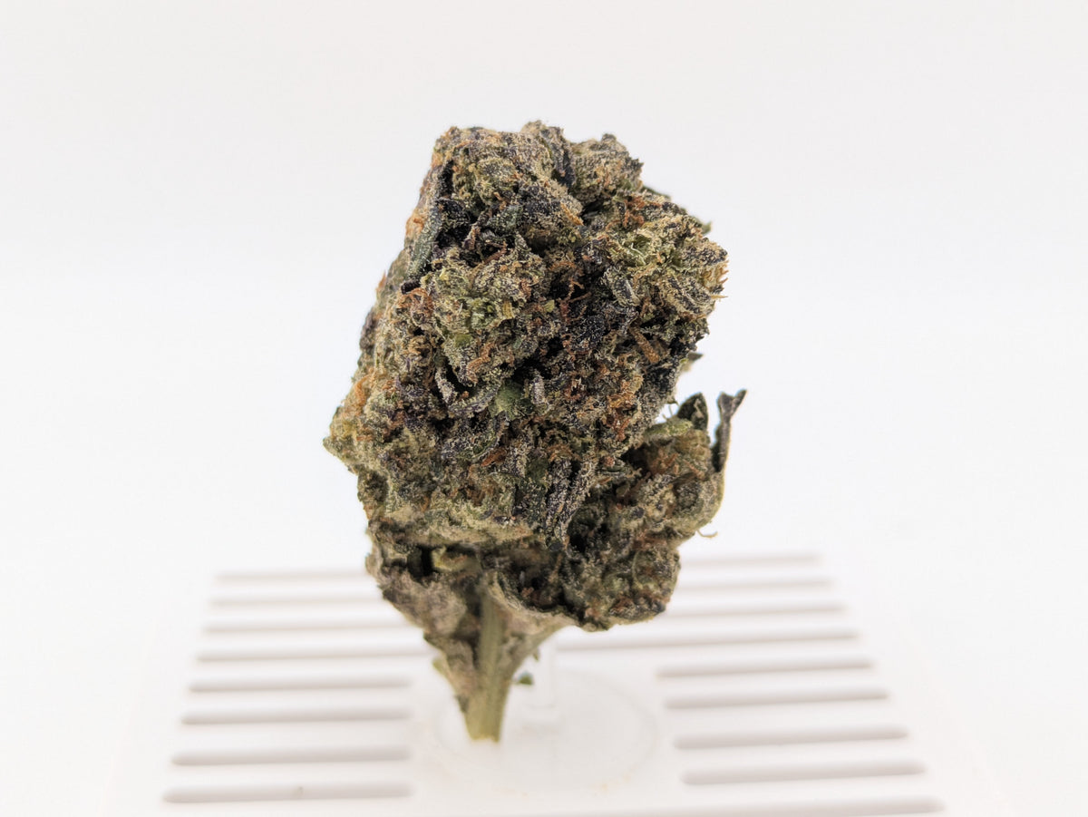 Exotic THCA | Pinnacle Runtz | Indica 27%