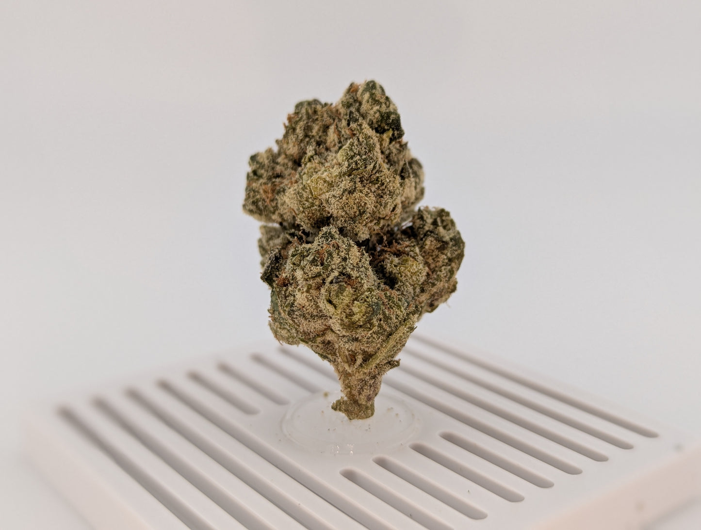Exotic THCA Flower 28% - Platinum Lemon Gushers - Hybrid