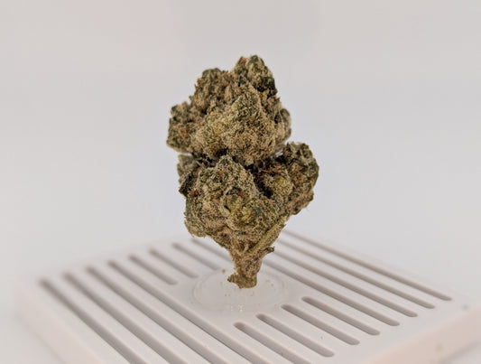 Exotic THCA Flower 28% - Platinum Lemon Gushers - Hybrid