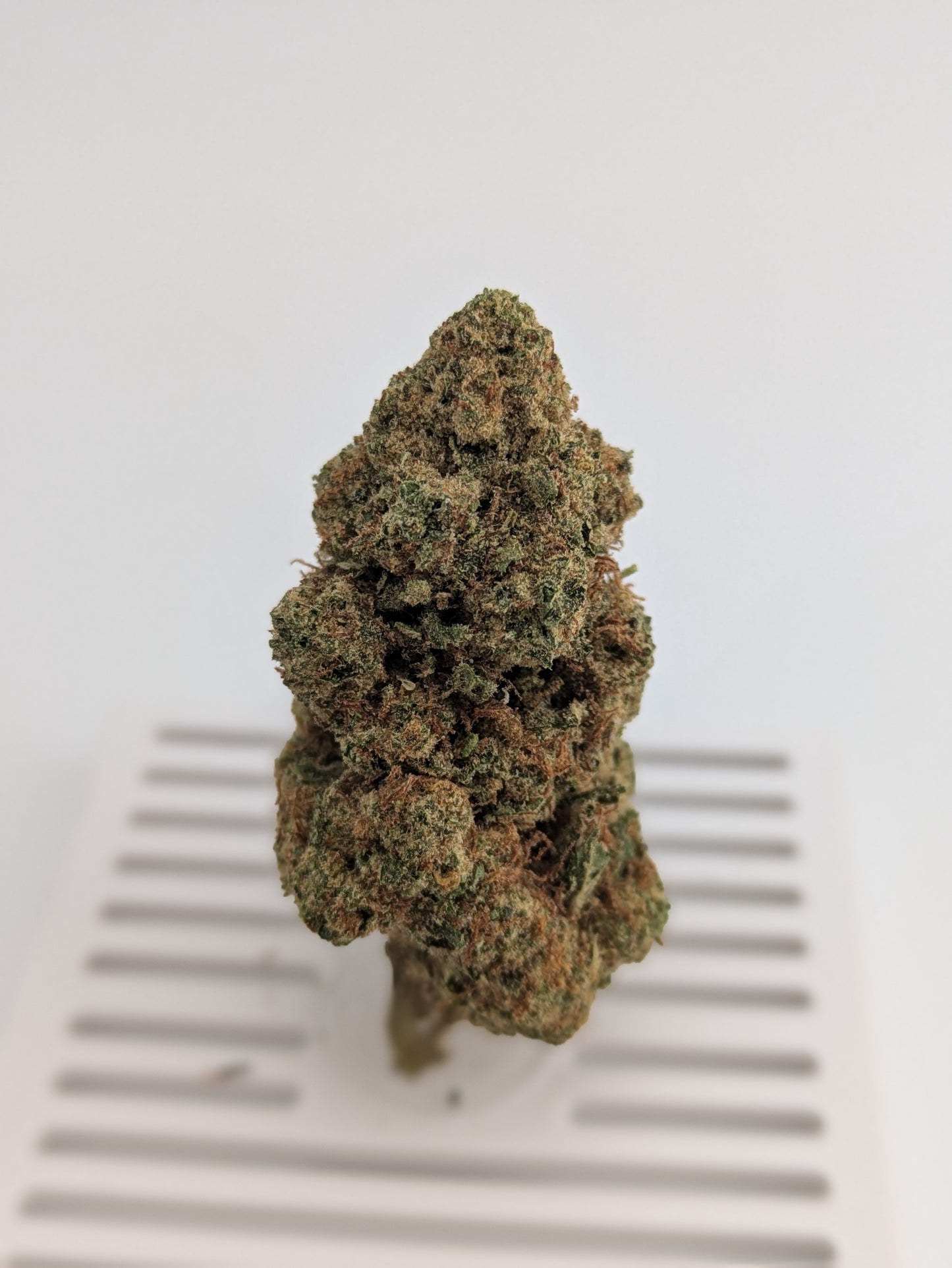 Exotic THCA Flower - Purple Gushers 29%