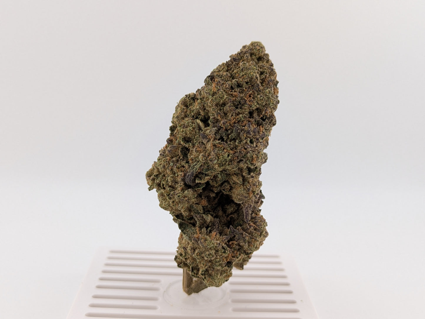 Scissor Queen │ Exotic THCA Flower │ Hybrid │ 27%