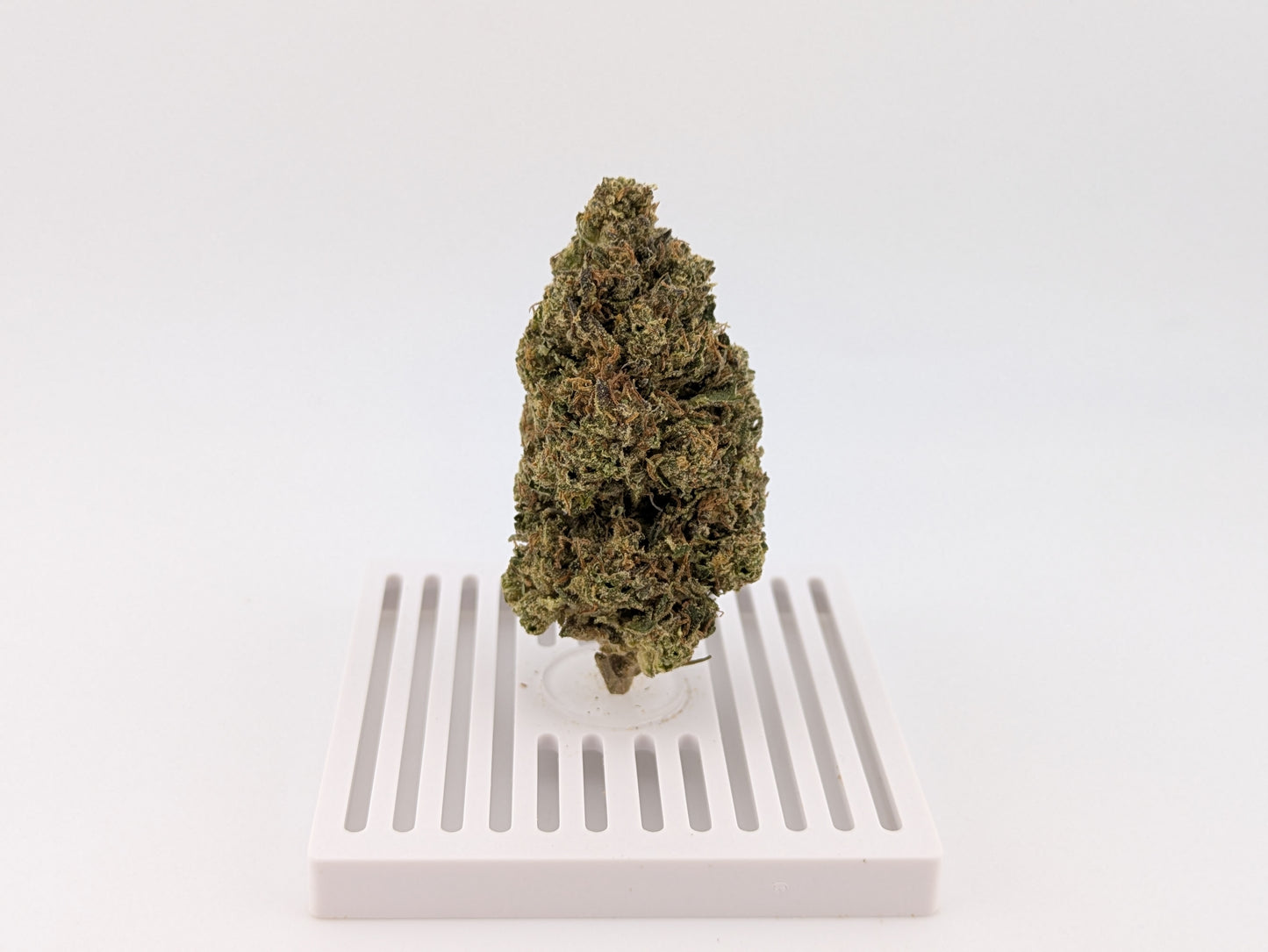 Sherlatto │ Exotic THCA Flower │ Sativa Hybrid │ 29%