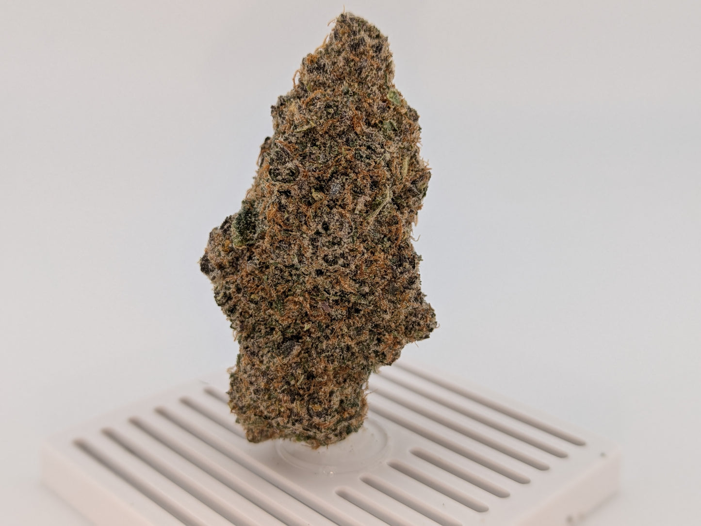 Exotic THCA Flower 31% - Sour Bears - Sativa