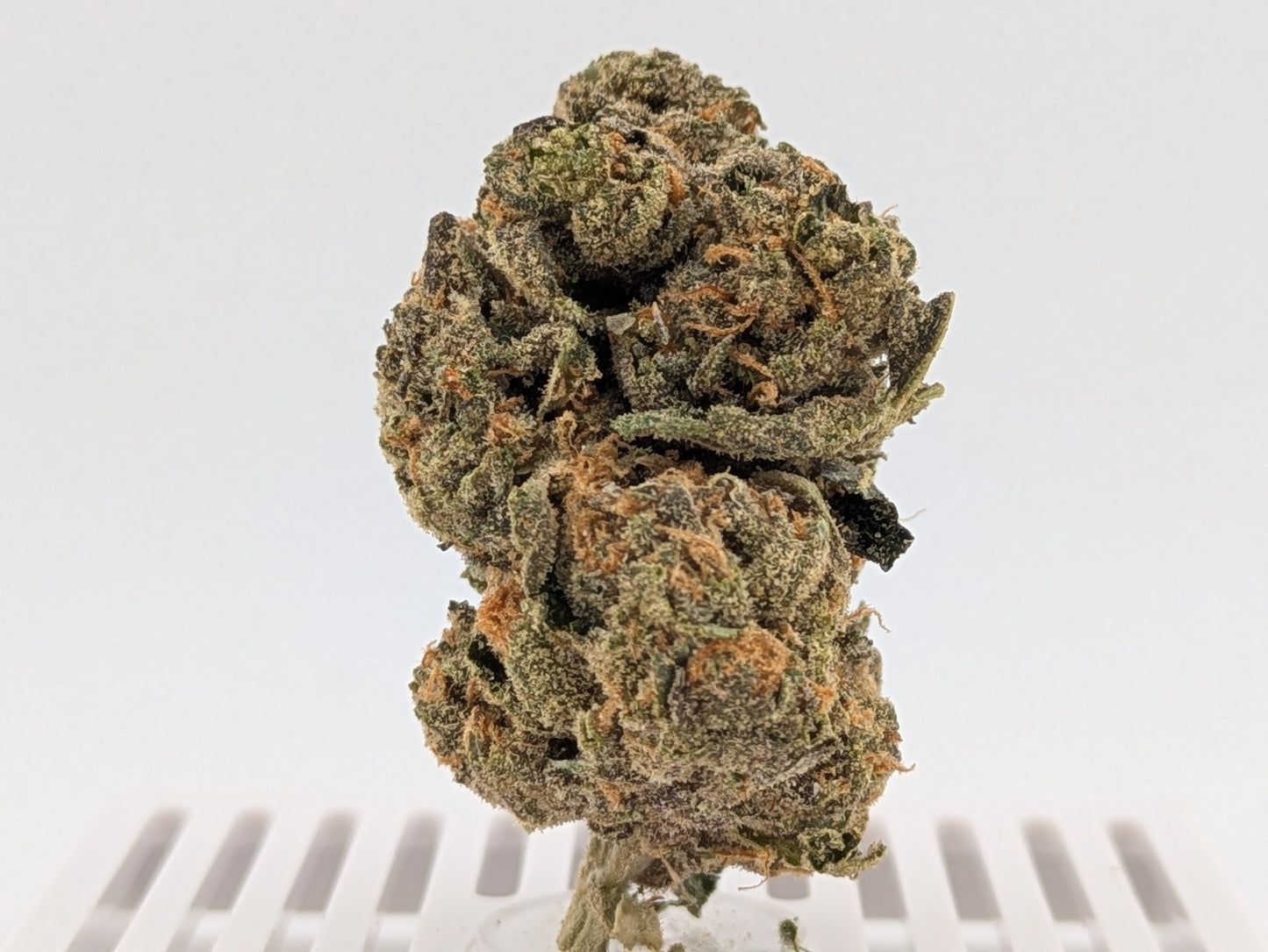 Super Goof │ Exotic THCA Flower │ Sativa │ 28%