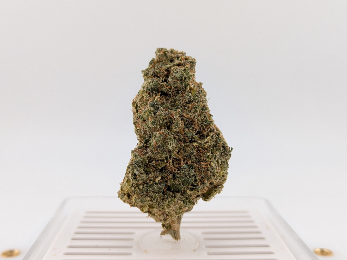 Exotic THCA Flower - Super Lemon Haze - 33%