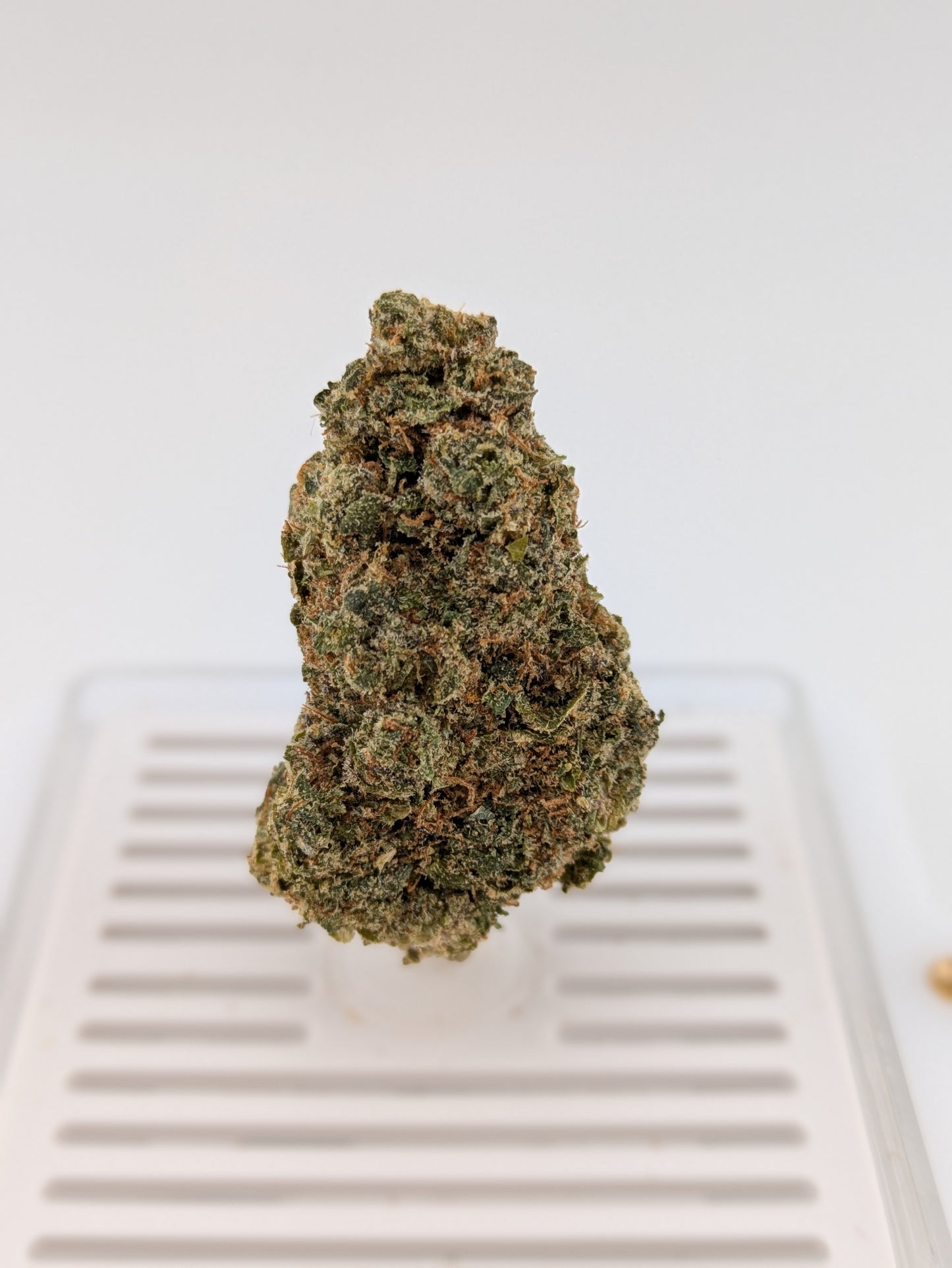 Exotic THCA Flower - Super Lemon Haze - 33%