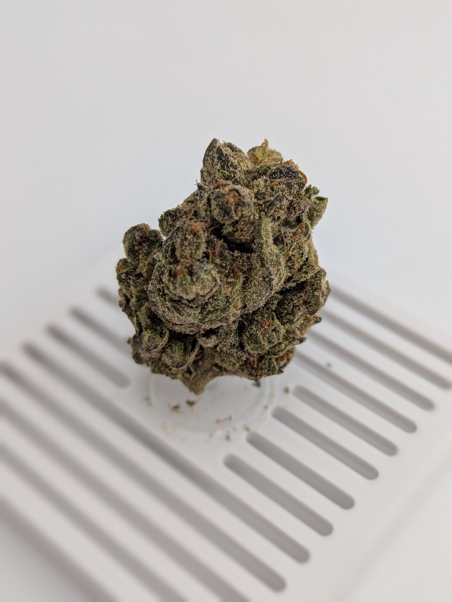 THCA Flower - Trap Fuel 27%