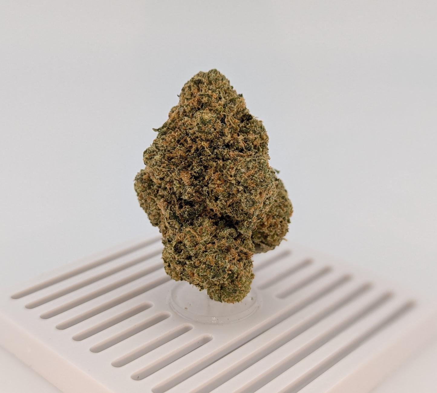 Exotic THCA Flower 29% - White Gushers - Hybrid