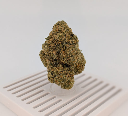 Exotic THCA Flower 29% - White Gushers - Hybrid