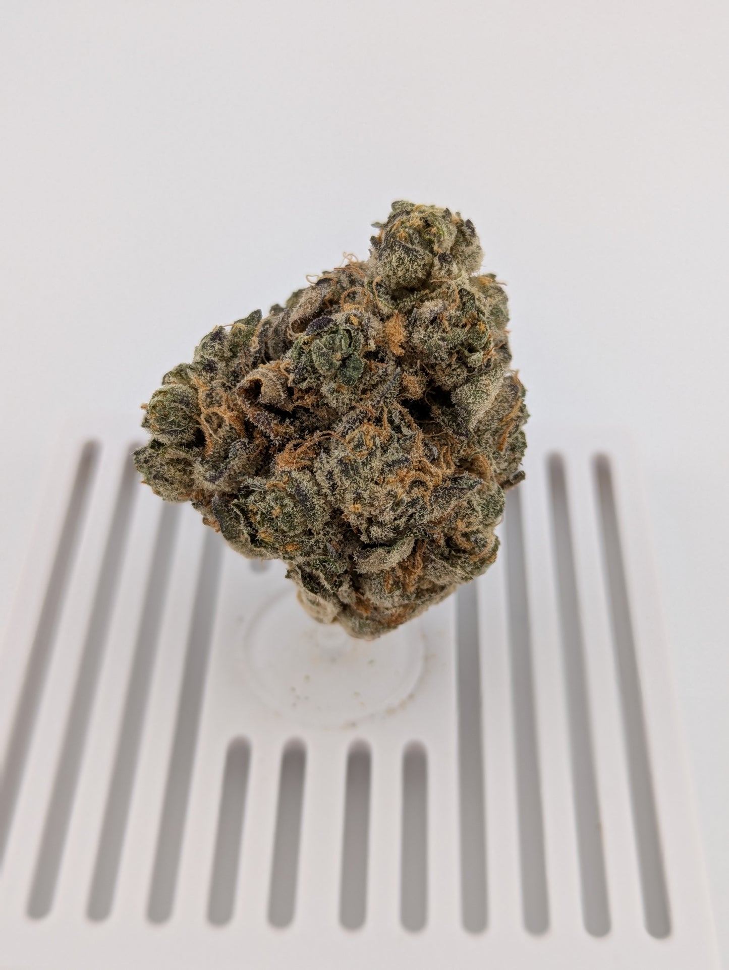 Zoap │ Exotic THCA Flower │ Hybrid │ 33%